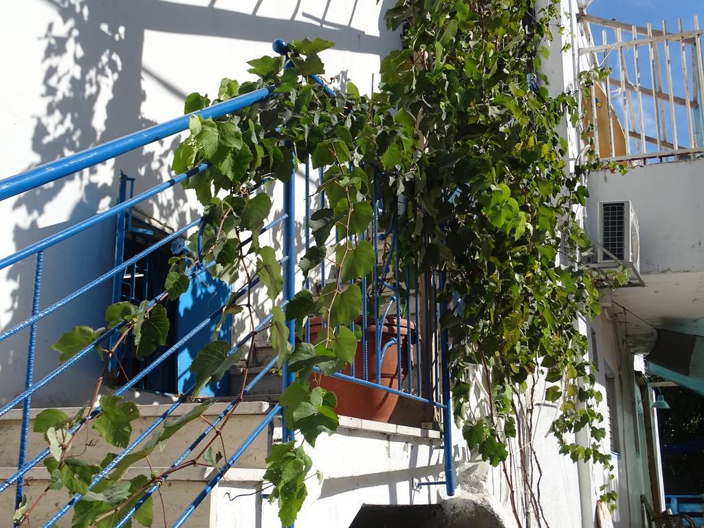Juha'S Guesthouse - Zarqa Bay Jisr ez Zarqa Eksteriør billede