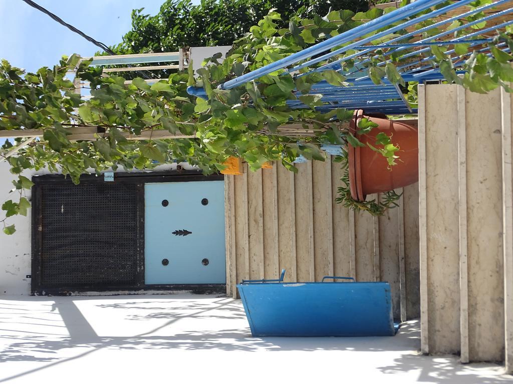Juha'S Guesthouse - Zarqa Bay Jisr ez Zarqa Eksteriør billede