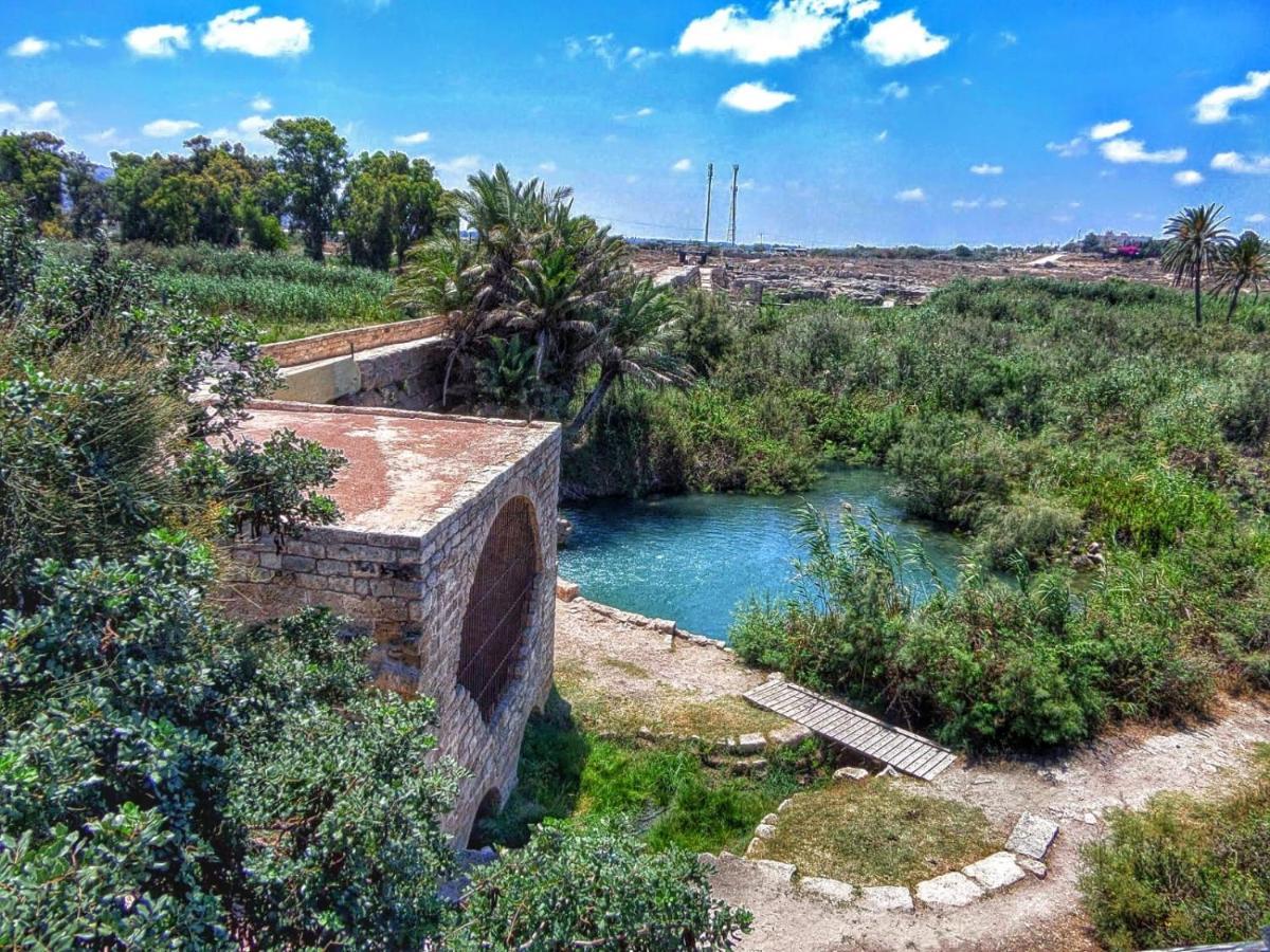 Juha'S Guesthouse - Zarqa Bay Jisr ez Zarqa Eksteriør billede